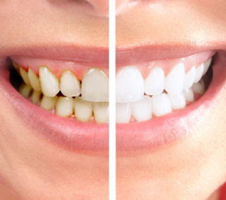 Medical & Dental Clinic - Dentists